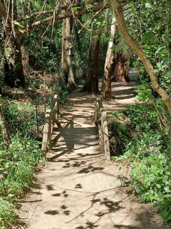 Villa Casa Sendero Del Rio El Bosque Esterno foto
