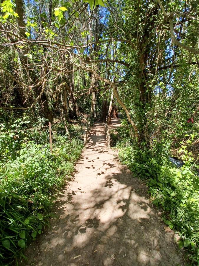 Villa Casa Sendero Del Rio El Bosque Esterno foto